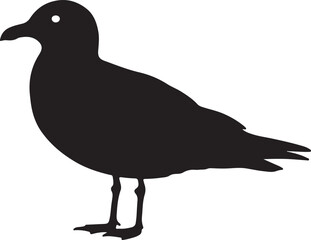Iceland Gull Silhouette on White Background