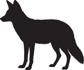 Jackal Silhouette on White Background