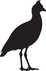 Kagu Silhouette on White Background