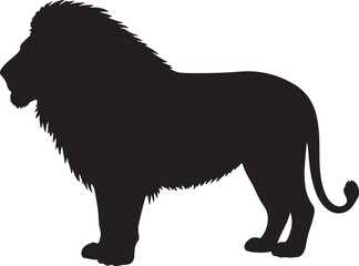 Kalahari Lion Silhouette on White Background