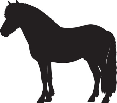 Icelandic Horse Silhouette on White Background