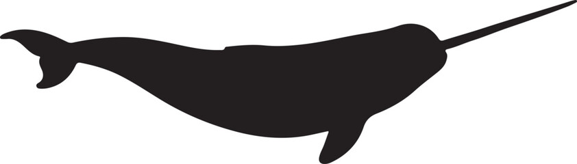Narwhal Silhouette on White Background © Digital Dreams Studi