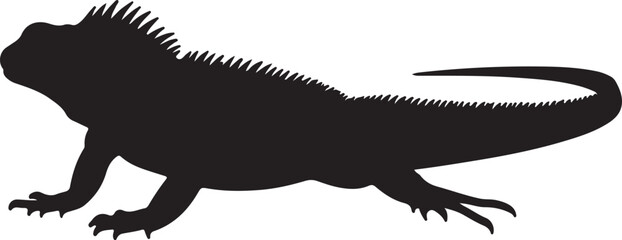 Oaxacan Spiny-tailed Iguana Silhouette on White Background