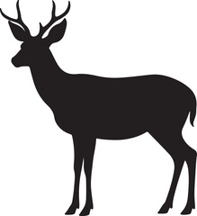 Mule Deer Silhouette on White Background