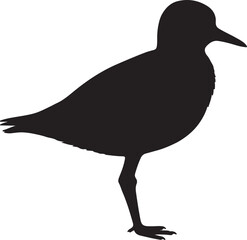 Pacific Golden Plover Silhouette on White Background © Digital Dreams Studi