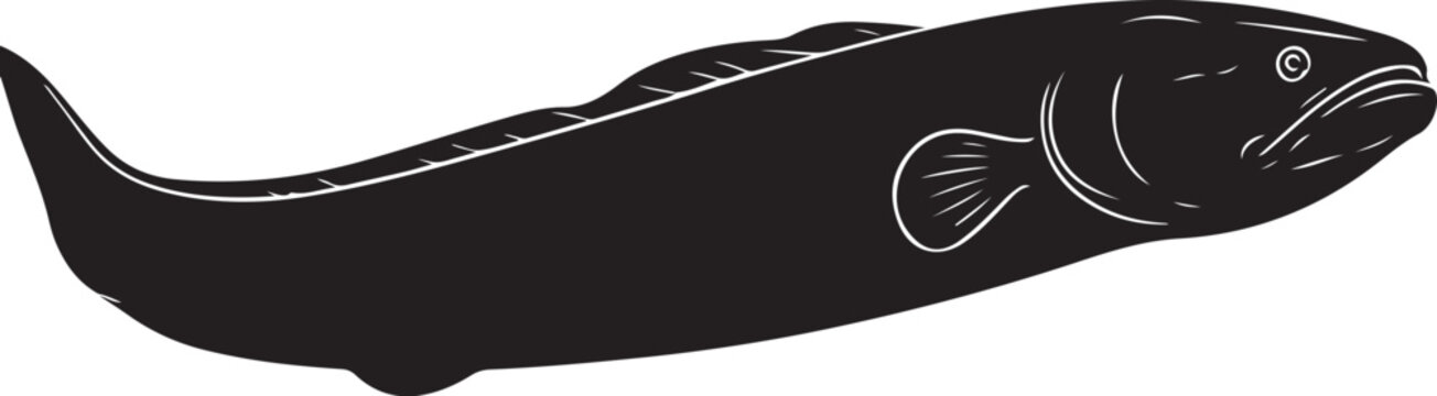 Pacific Lamprey Silhouette on White Background