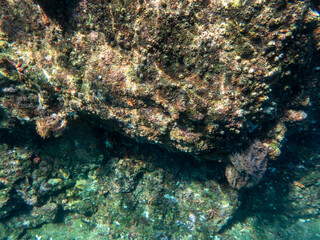Cliff reef under the sea in Myanmar