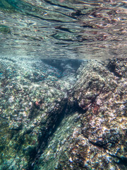 Cliff reef under the sea in Myanmar