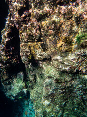 Cliff reef under the sea in Myanmar