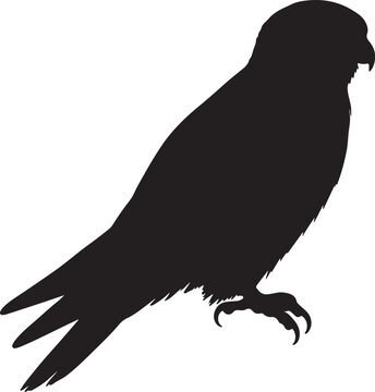 Falconet Vector Silhouette