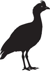 Fototapeta premium Kagu Silhouette