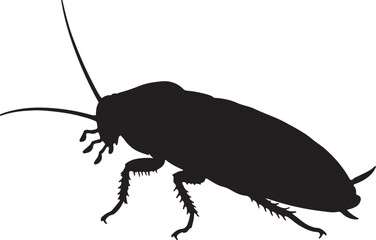 Madagascar Hissing Cockroach Silhouette