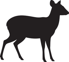 Muntjac Silhouette