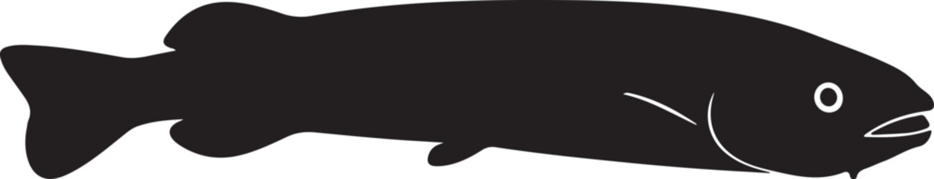 Pacific Lamprey Silhouette