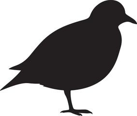 Quail-plover Silhouette