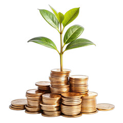 tree growing from coins