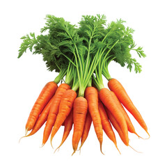 Realistic close-up of fresh carrots with green tops, PNG file for mock-up.