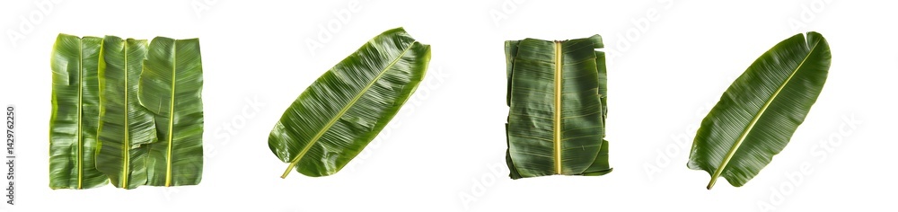 Poster set of multiple overlapping banana leaves, isolated on transparent background