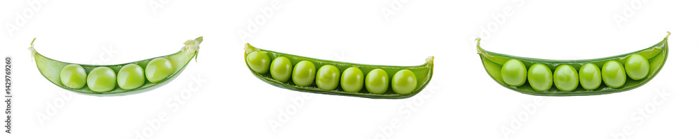 Poster set of different pea pods, isolated on transparent background