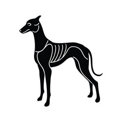 Spectral Hound with Glowing Ribs Silhouette