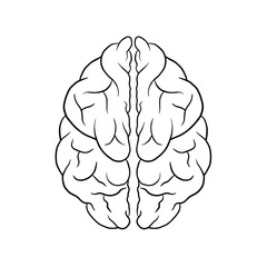 Human Brain Vector Illustration, Anatomical Outline, Intelligence Symbol, Brain Structure Vector, Neurological Illustration