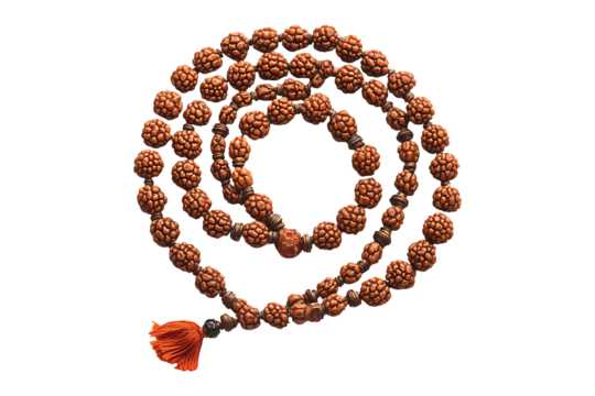 Rudraksha Mala isolated on transparent background
