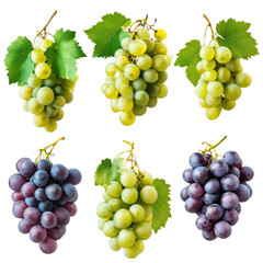 Fresh Green and Purple Grapes on Vine with Leaves, Perfect for Snacking and Cooking, Natural and Healthy Treats on transparent background