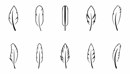 set of black feather in a flat style  set of bird .eps