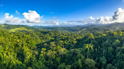 Obraz premium Lush Green Canopy of a Tropical Rainforest Valley under a Expansive Cloudy Sky
