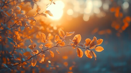 Autumn Leaves Falling on Forest Path, Autumn leaves falling on a serene forest path, with warm sunlight filtering through the trees