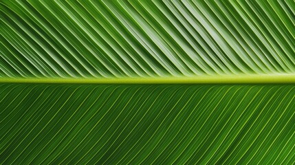 A close-up view of a vibrant green leaf showcasing intricate vein patterns and textures, highlighting the beauty of nature.