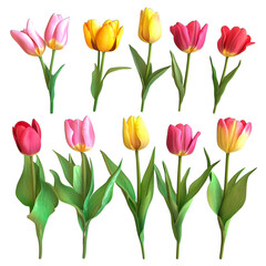Obraz premium bouquet of tulips isolated on transparent background png