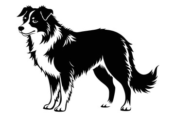 border collie sihouette black vector