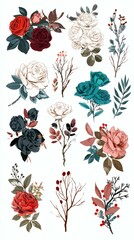 Watercolor Floral Collection Roses, Berry Branches on a Transparent Background