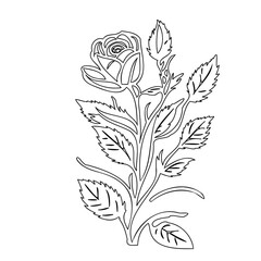 Line Art: Detailed Rose Blossom Design on White