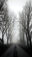 Obraz premium Foggy Asphalt Road Vanishing Between Leafless Trees Silhouetted in Atmospheric Mist