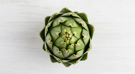Fototapeta premium Overhead view of a single green artichoke on a white wooden surface in a studio setting with soft light