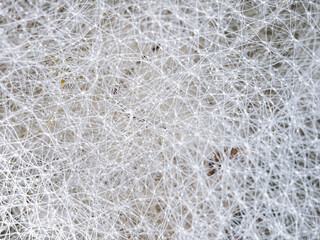 A detailed close-up photo of a fishing net showcasing fine, interwoven threads arranged in a complex, symmetrical pattern
