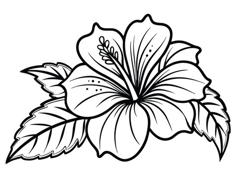 recommend clip art: Hibiscus flowers in a vintage with woodcut engraved etching outline style. Vector illustration. A hibiscus flower line art vector art