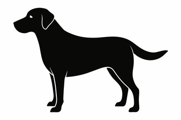 labrador retriever sihouette black vector