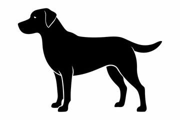 labrador retriever sihouette black vector