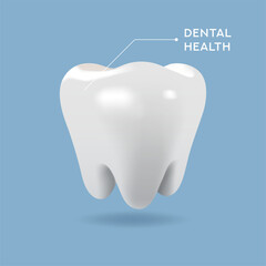 Realistic 3D vector illustration of a white healthy tooth with clean blue background. Perfect for dental care promotion, oral hygiene, clinic advertisement, or health campaign