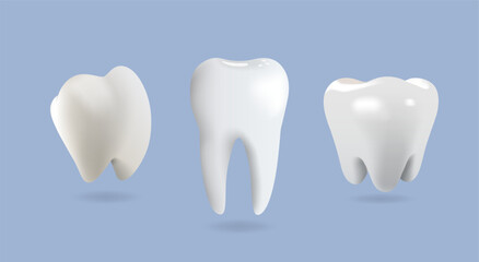 Realistic 3D vector illustration of three human teeth types on blue background. Healthy tooth anatomy concept for dental care, hygiene, and medical purposes