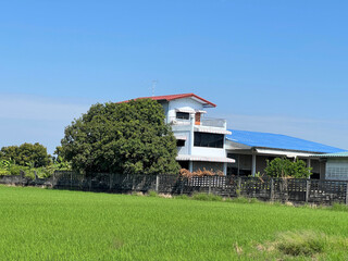 Obraz premium green house in the garden