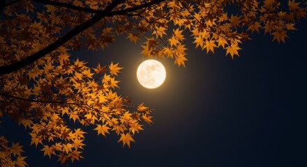 Naklejka premium Full moon shining through yellow autumn maple leaves