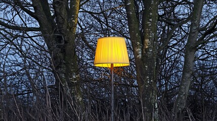 Illuminated Lamp in Winter Woods Landscape Photography