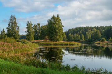 Gannibal Pond in the Petrovskoye Estate of the Pushkin Natural Landscape Reserve on a sunny summer day, Pushkinskiye Gory, Pskov region, Russia