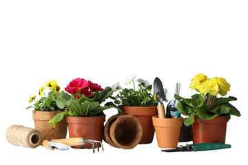 Gardening tools and flower pots are neatly arranged on a white surface, isolated on white, PNG