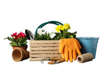 Gardening, Colorful flowers and tools neatly arranged for planting activities, isolated on white,...