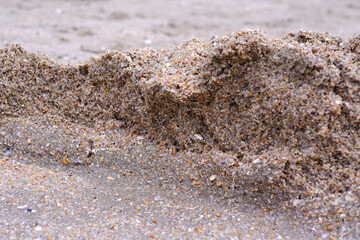 Sand, gravel, and small golden yellow shells on the beach.